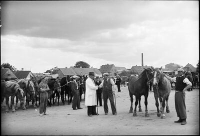 To mænd giver håndslag hestsalg