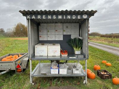 Et åbent, overdækket skab stående på en mark